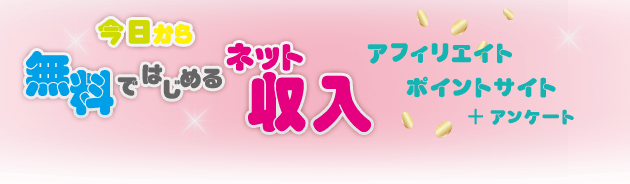 今日から無料ではじめるネット収入・ポイントサイト＋アンケート＆アフィリエイト